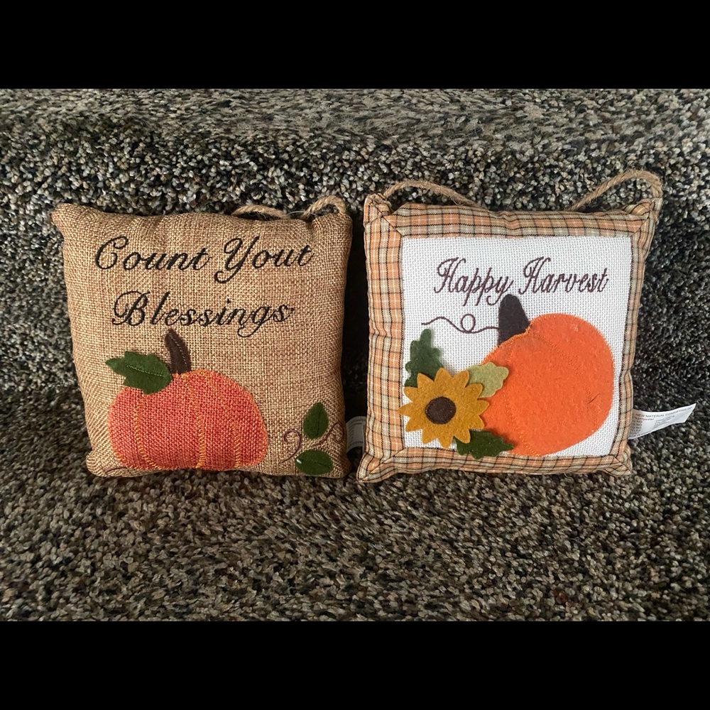 ⭐️ SOLD ⭐️ Set of 2 hanging door pillows